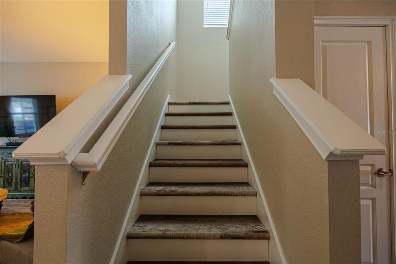 1908 W Nassau Street, Tampa, FL 33607 Photo