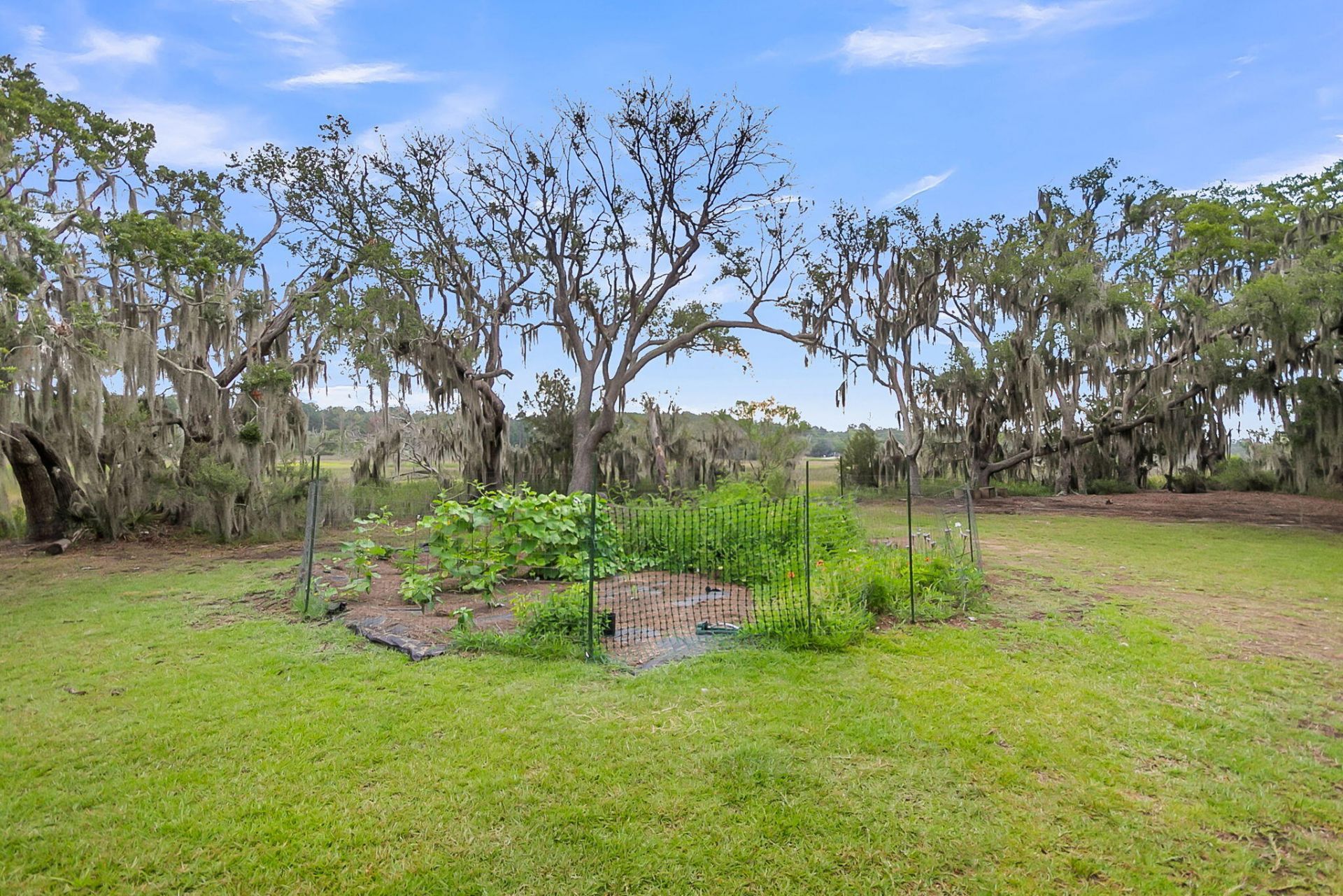 6504 Rozier Road Photo 30