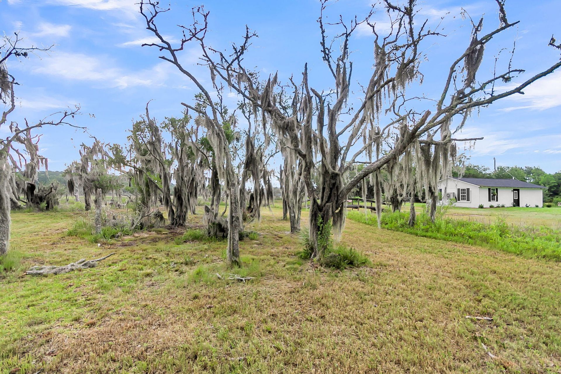 6504 Rozier Road Photo 31