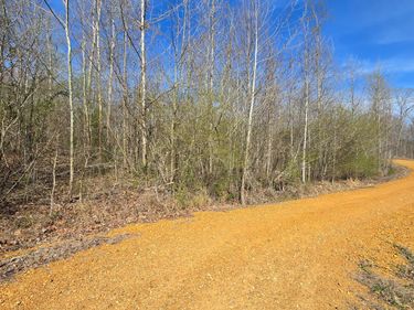 000 McClain Drive, New Concord, KY 42076