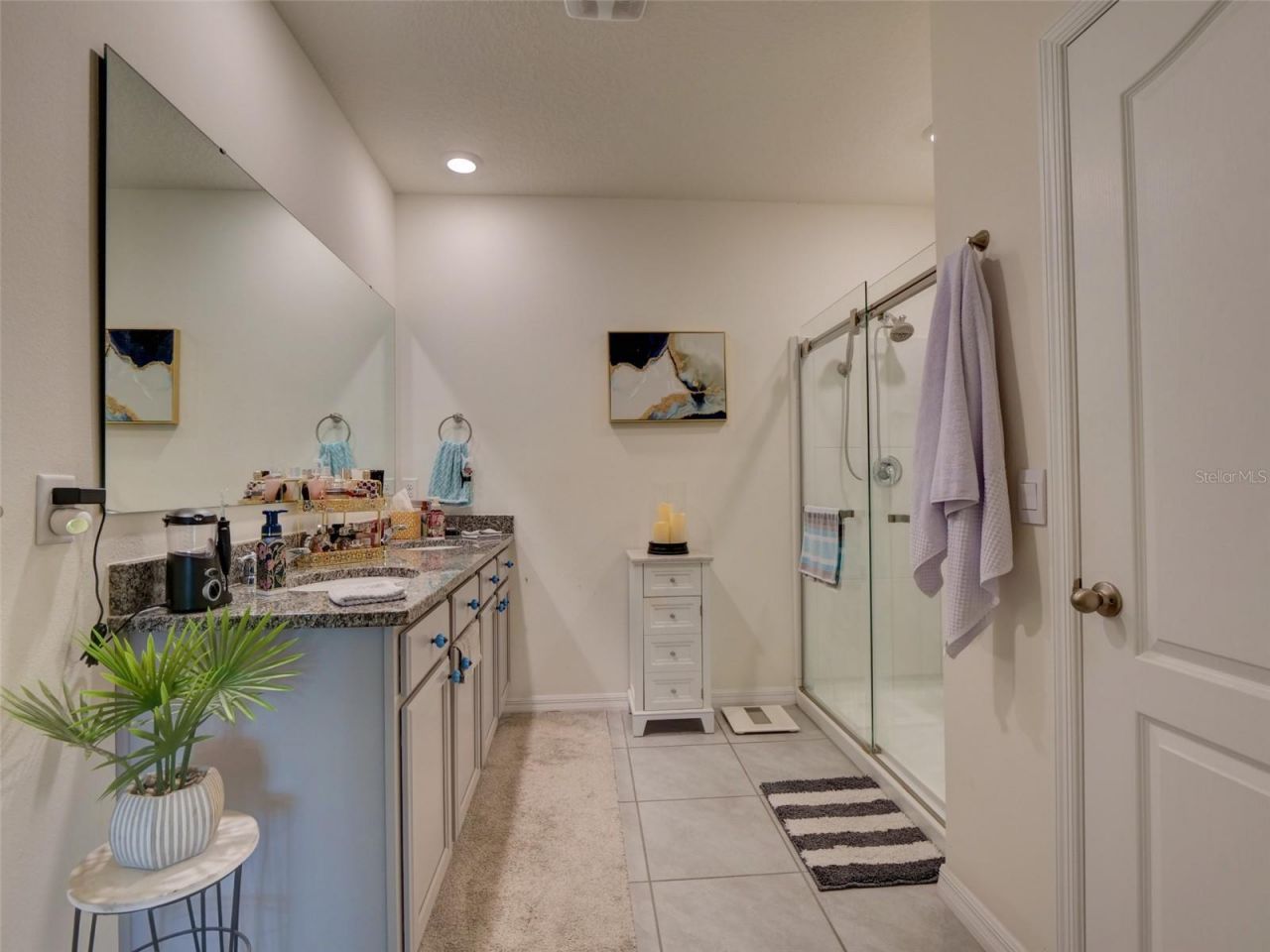 11244 Amber Ridge Drive, Zellwood, FL 32798 Photo