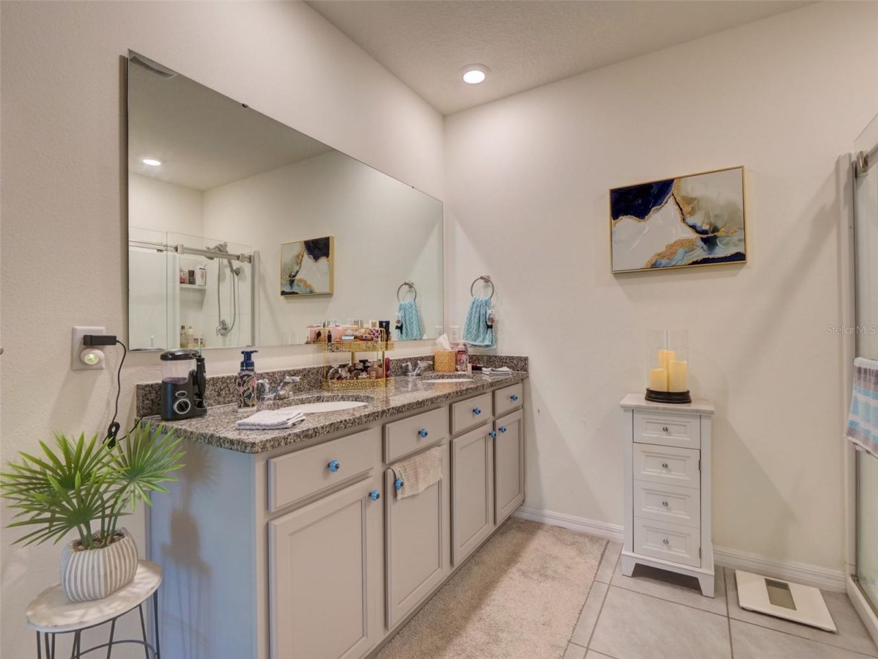11244 Amber Ridge Drive, Zellwood, FL 32798 Photo