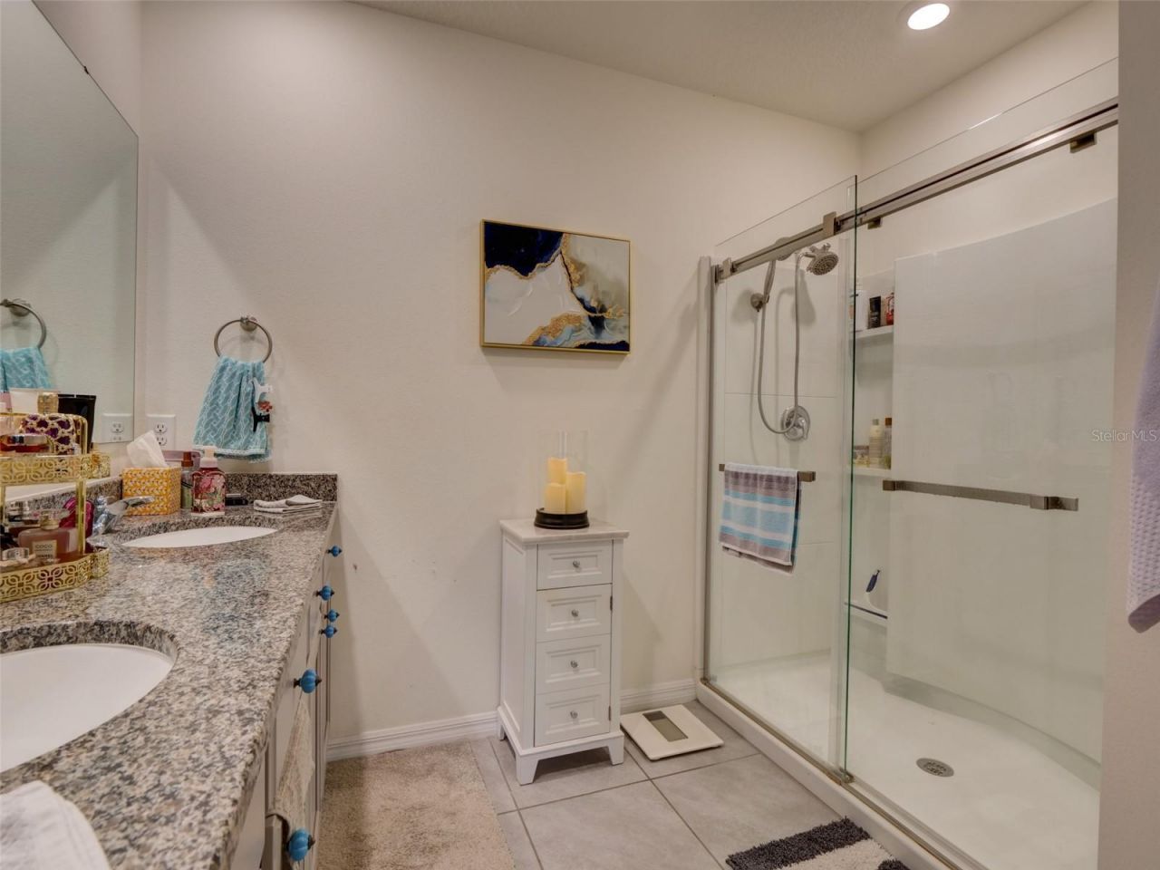 11244 Amber Ridge Drive, Zellwood, FL 32798 Photo