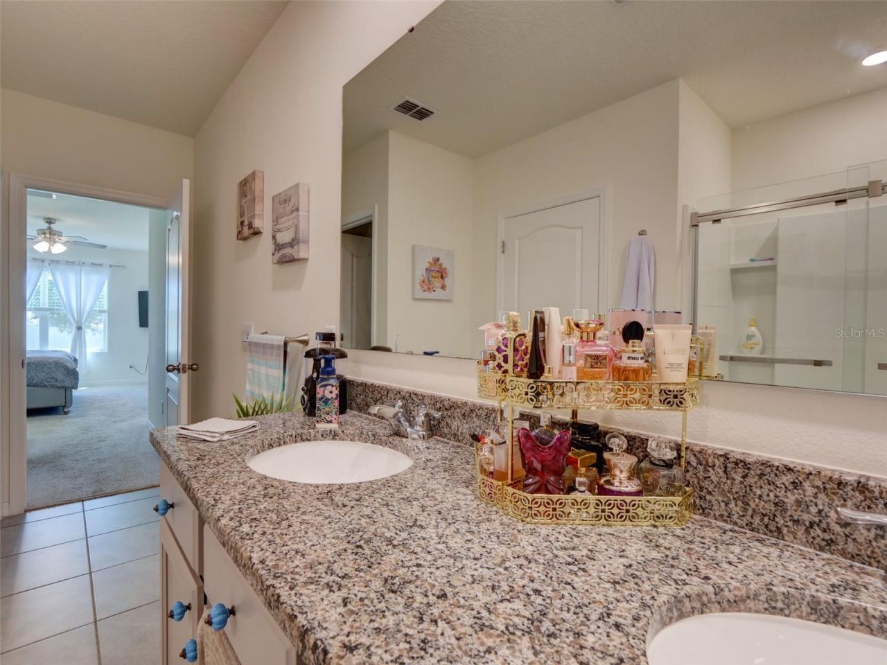 11244 Amber Ridge Drive, Zellwood, FL 32798 Photo