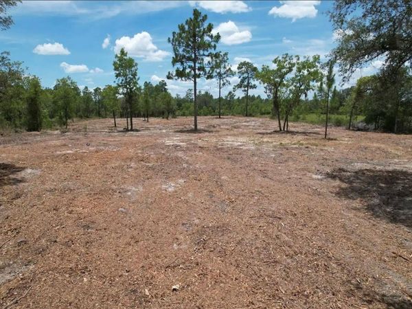 NE 56TH STREET, BRONSON, FL 32621