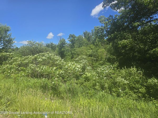 0 S Canal Street, Eaton Rapids, MI 48827