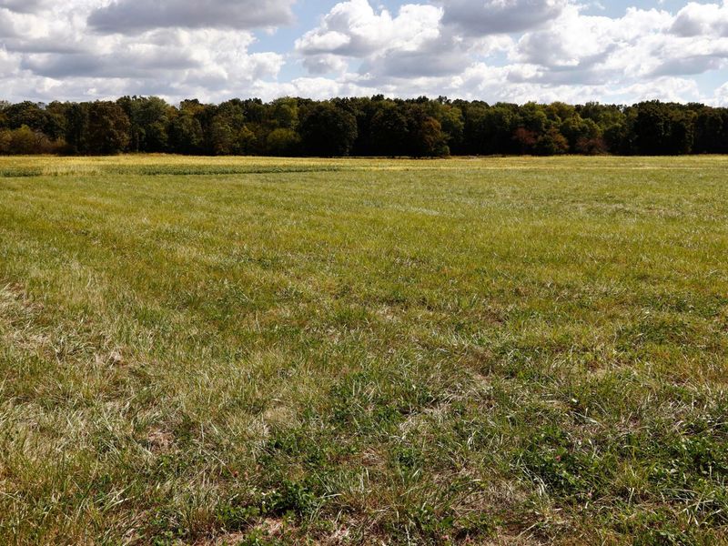 1647 Orvin Circle , Unit Lot #271, Sunbury, OH 43074 Photo 3