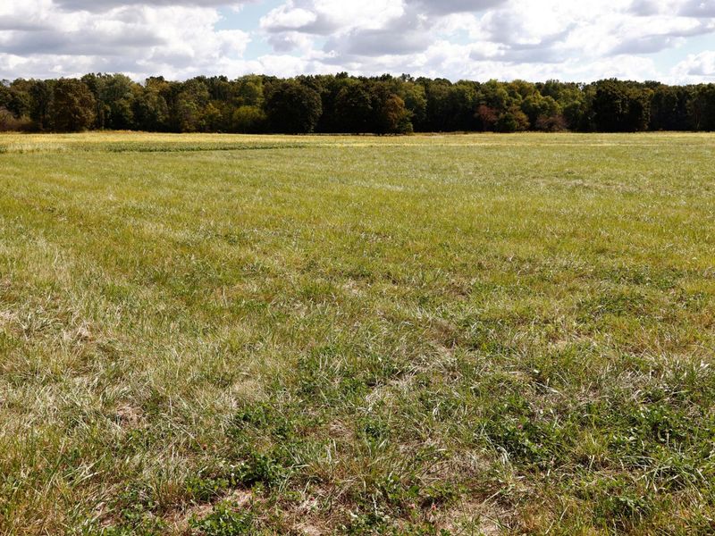 1647 Orvin Circle , Unit Lot #271, Sunbury, OH 43074 Photo 4