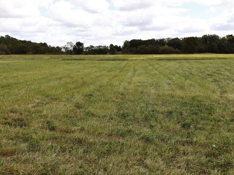 1647 Orvin Circle , Unit Lot #271, Sunbury, OH 43074 Photo 5