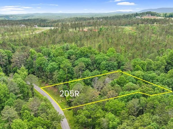 lot 205r Pinnacle Drive, Ellijay, GA 30540