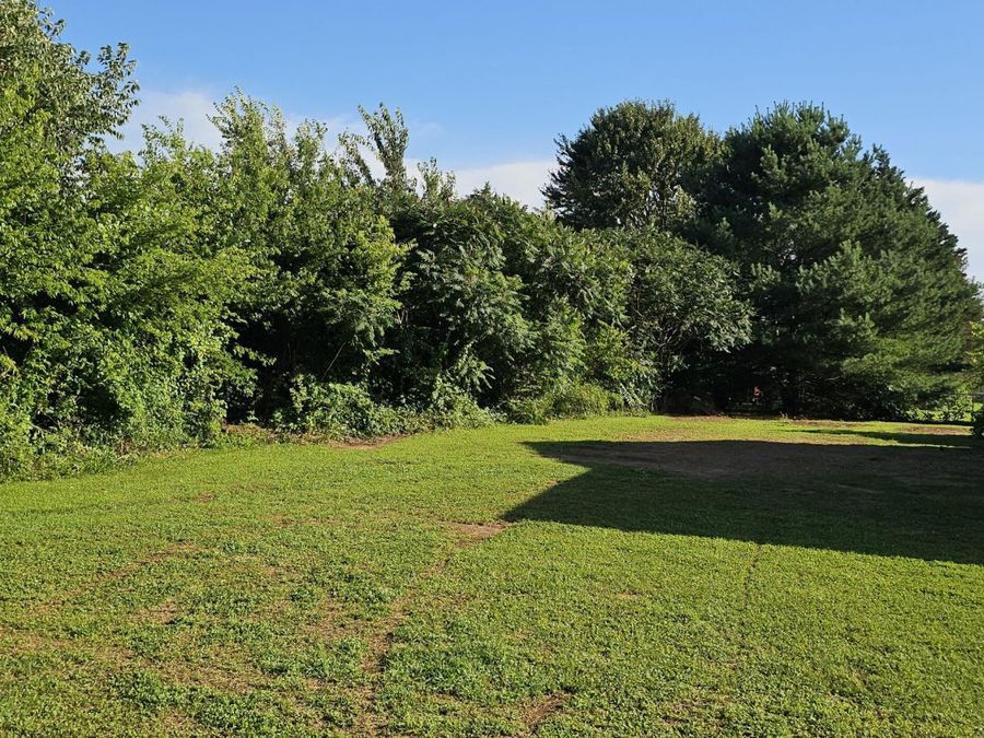 Property Image 52