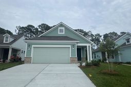 1137 Lady Bird Way photo 4