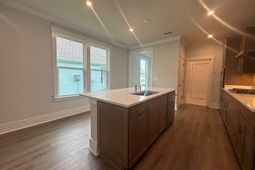 1137 Lady Bird Way photo 4