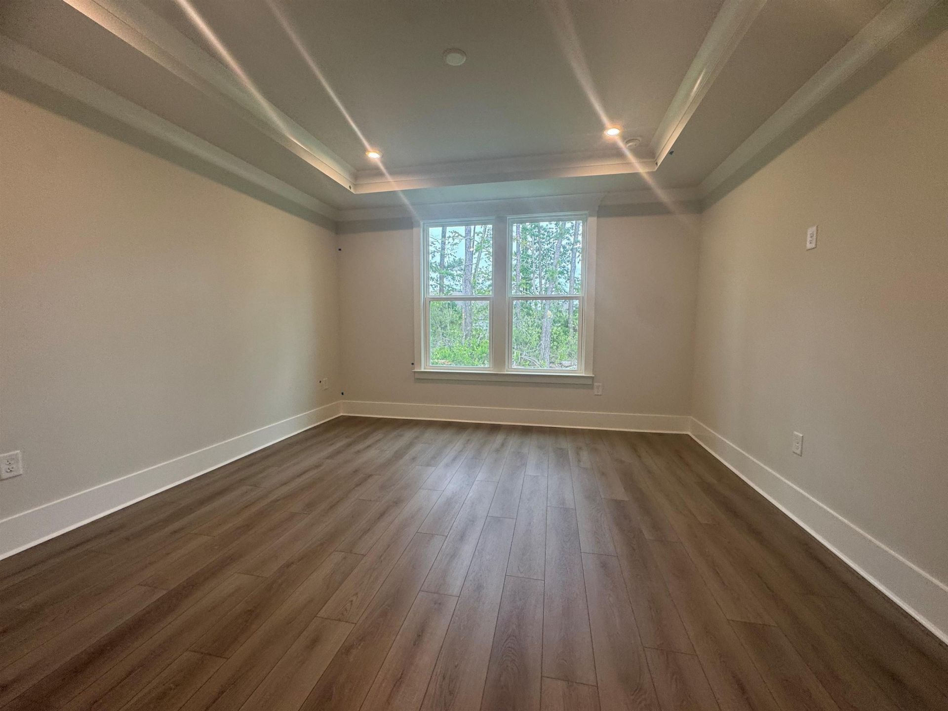 1137 Lady Bird Way Photo 8