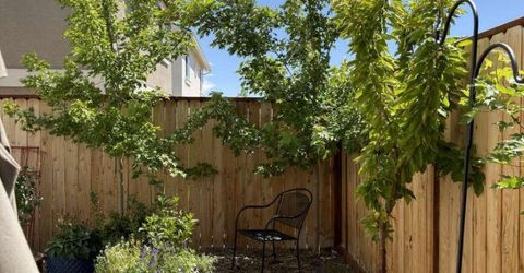 3575 Penn National Drive, Reno, NV 89512 Photo