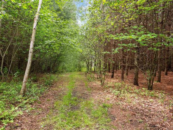 HALE SCHOOL ROAD, Peshtigo, WI 54157