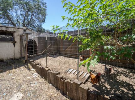 2709 Curran Rd, Ione, CA 95640 Photo