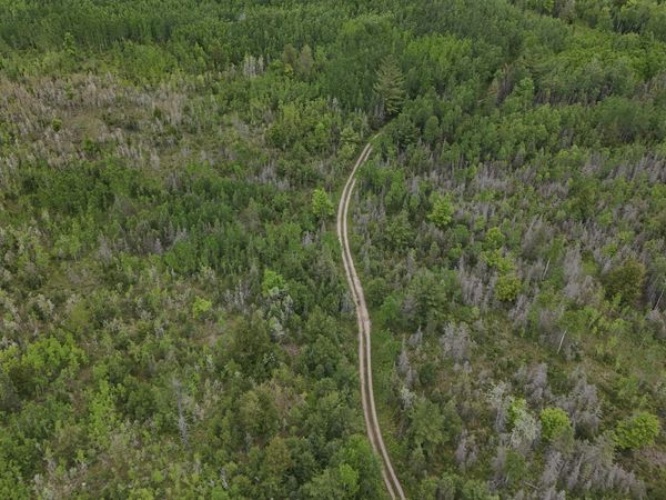 E Woods Road, Goetzville, MI 49736