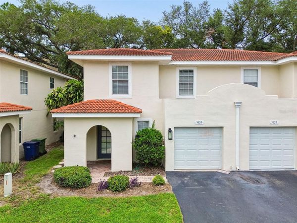 3125 SANTORINI COURT , TAMPA, FL 33611
