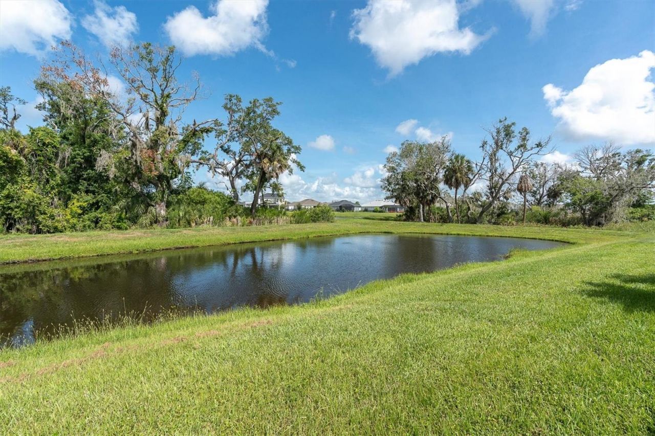 10815 Fieldstone Drive, Palmetto, FL 34221 Photo