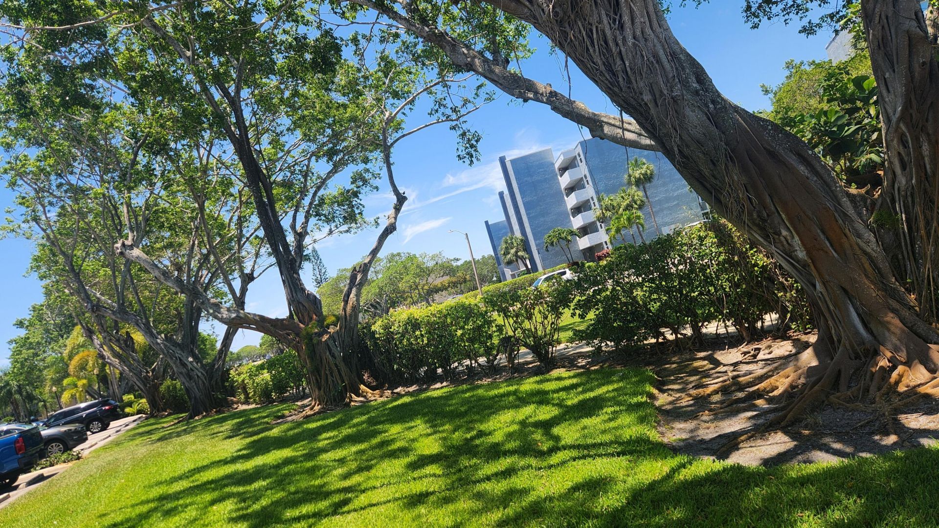 6500 NW 2nd Avenue, Unit 311, Boca Raton, FL 33487 Photo
