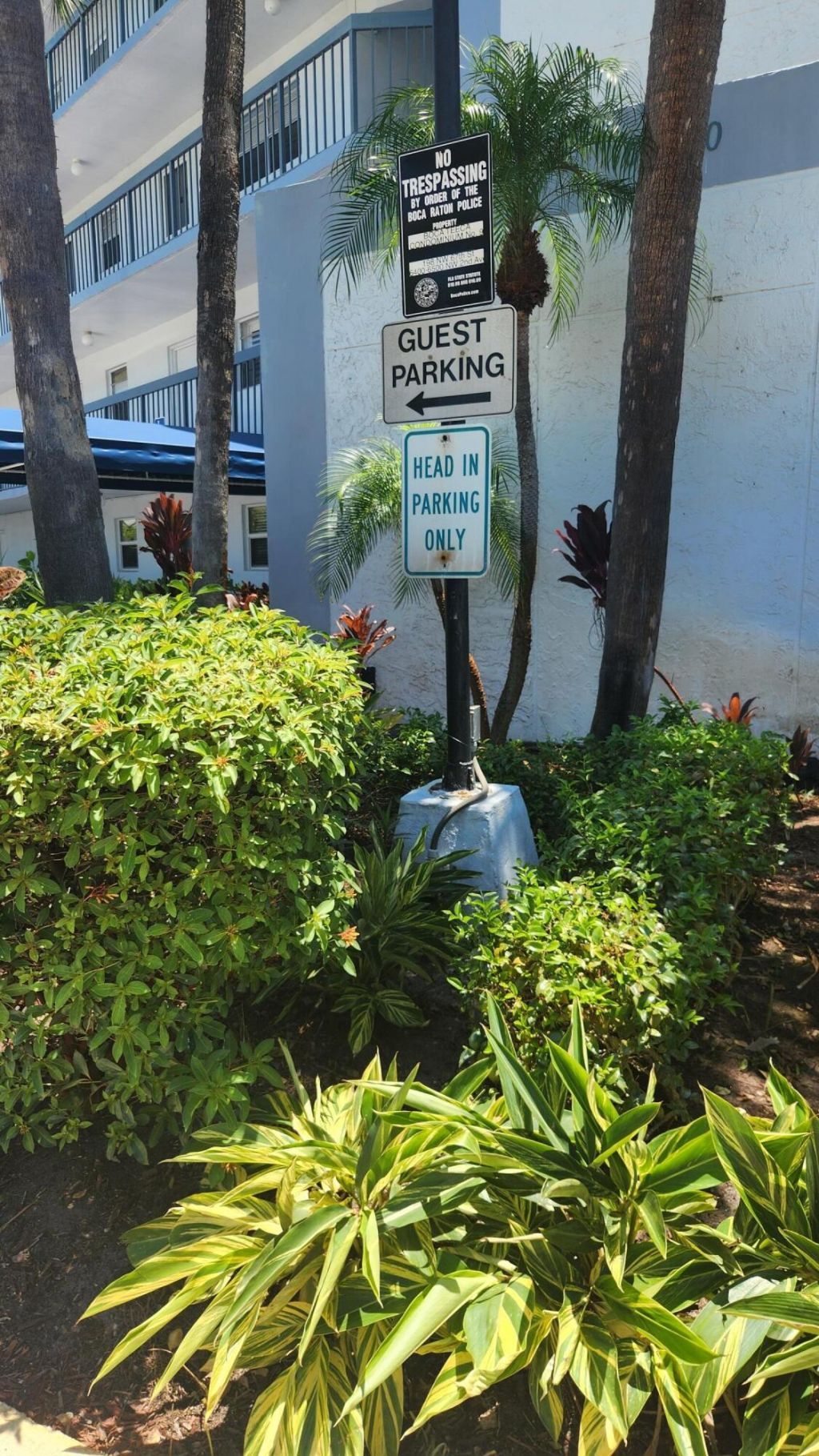 6500 NW 2nd Avenue, Unit 311, Boca Raton, FL 33487 Photo