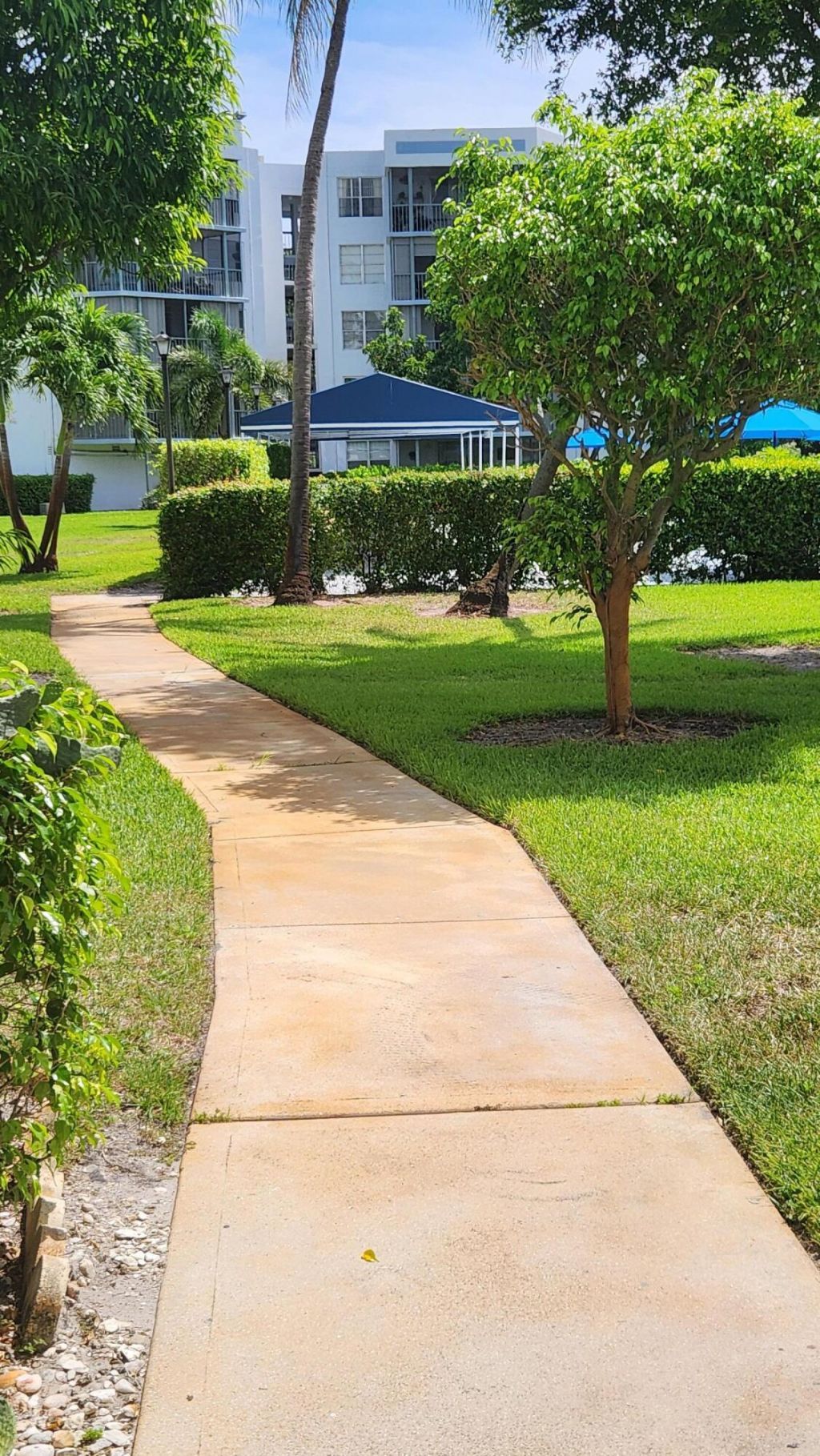 6500 NW 2nd Avenue, Unit 311, Boca Raton, FL 33487 Photo