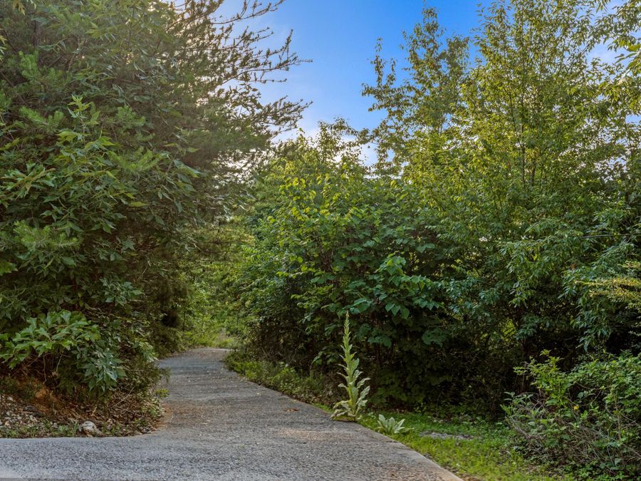 Property Image 100