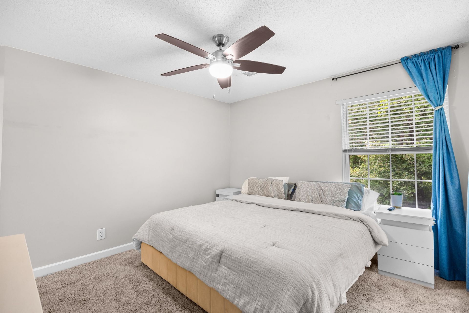 4277 Santolina Way  Photo 21