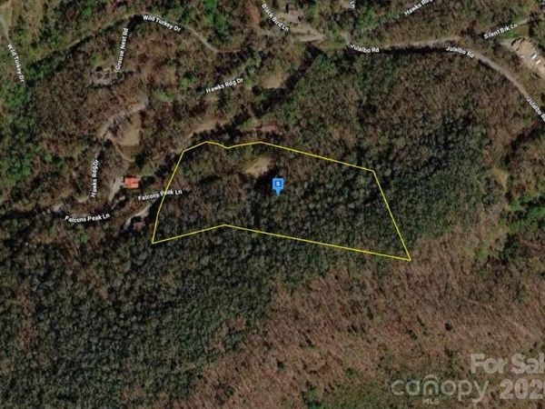 4 Falcons Peak Lane , Whittier, NC 28789