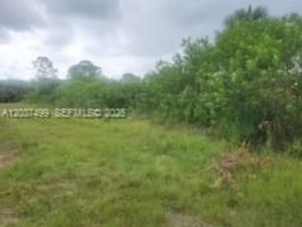 439 Naples AVE S , Lehigh Acres, FL 33974