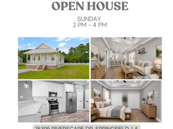 26309 Riverscape Dr, Springfield, LA 70462