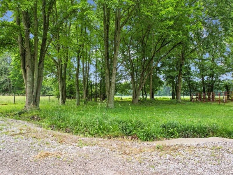 2615 St Rt 232, Tate Twp, OH 45157 Photo 53