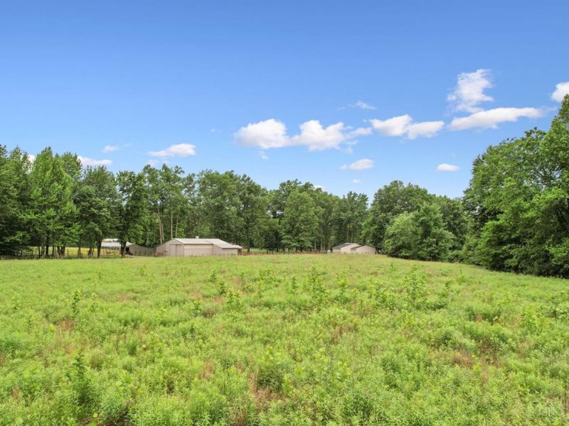 2615 St Rt 232, Tate Twp, OH 45157 Photo 54