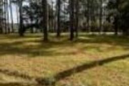 0 Bolen Point Avenue photo 4