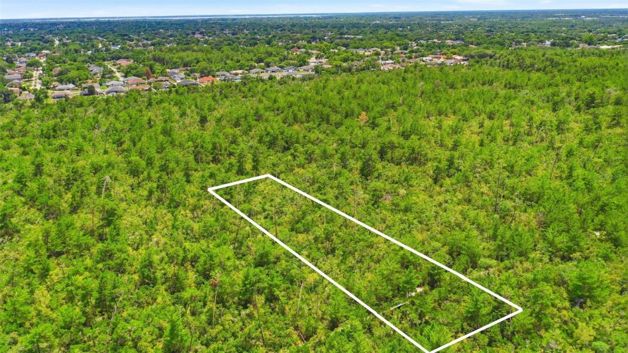 Amelia (paper) Avenue , Deltona, FL 32725 Photo