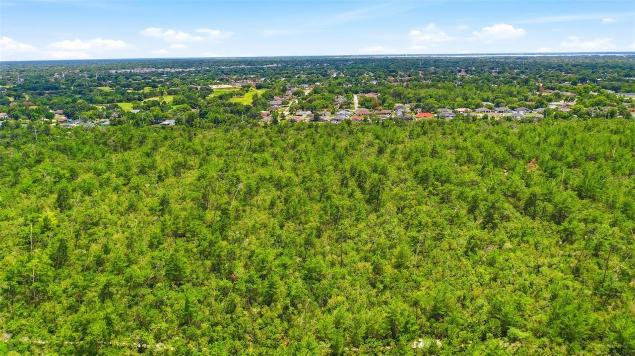 Amelia (paper) Avenue , Deltona, FL 32725 Photo