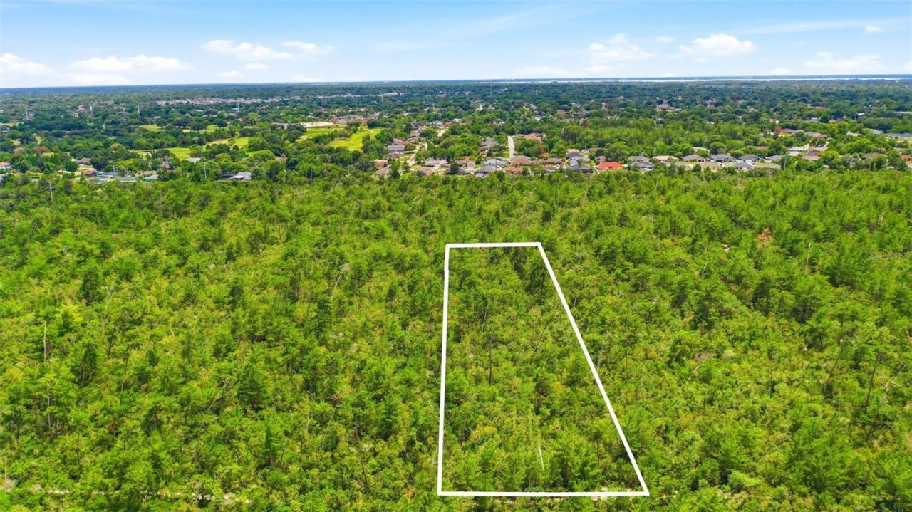 Amelia (paper) Avenue , Deltona, FL 32725 Photo