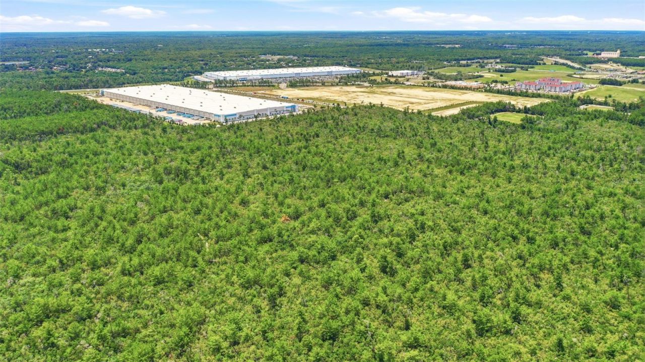 Amelia (paper) Avenue , Deltona, FL 32725 Photo