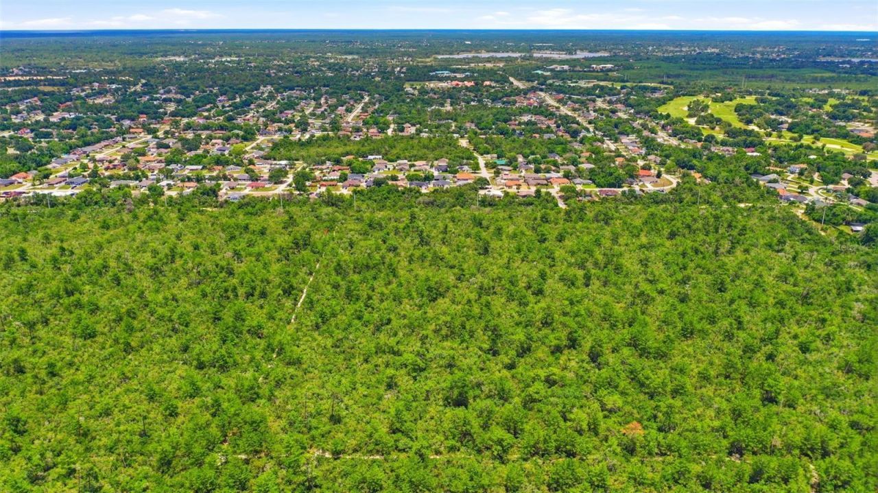 Amelia (paper) Avenue , Deltona, FL 32725 Photo