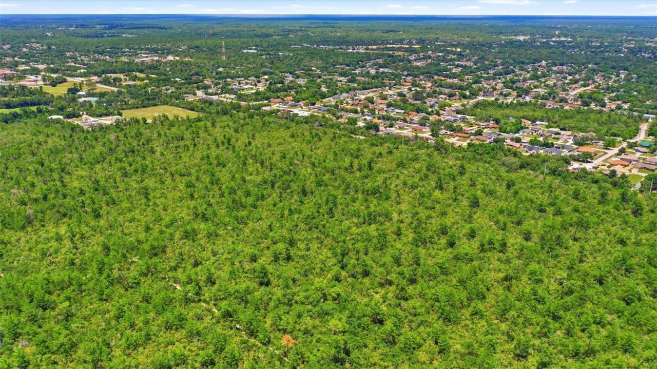 Amelia (paper) Avenue , Deltona, FL 32725 Photo