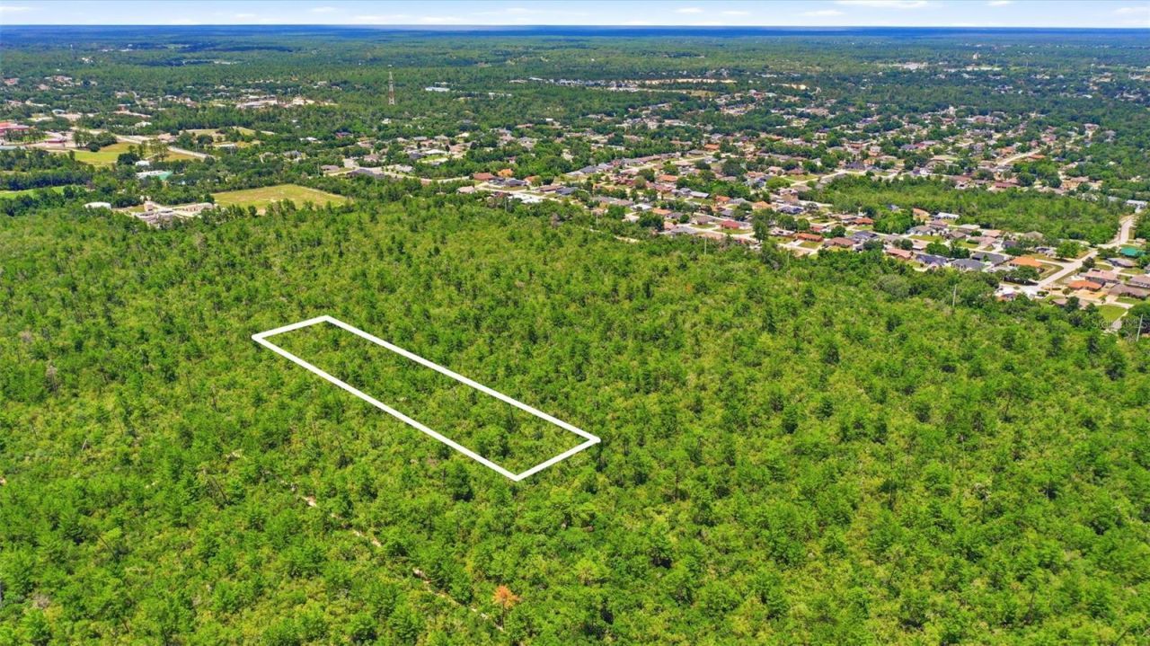 Amelia (paper) Avenue , Deltona, FL 32725 Photo