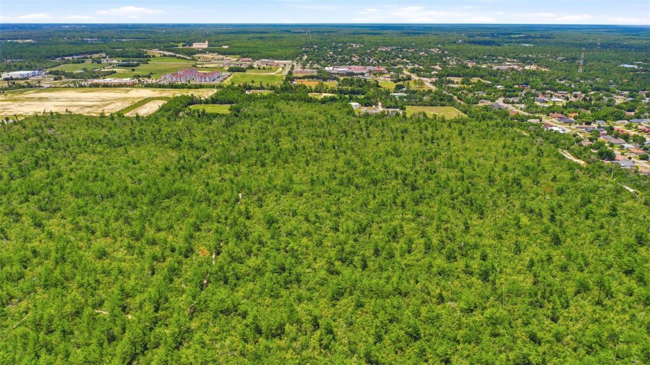 Amelia (paper) Avenue , Deltona, FL 32725 Photo