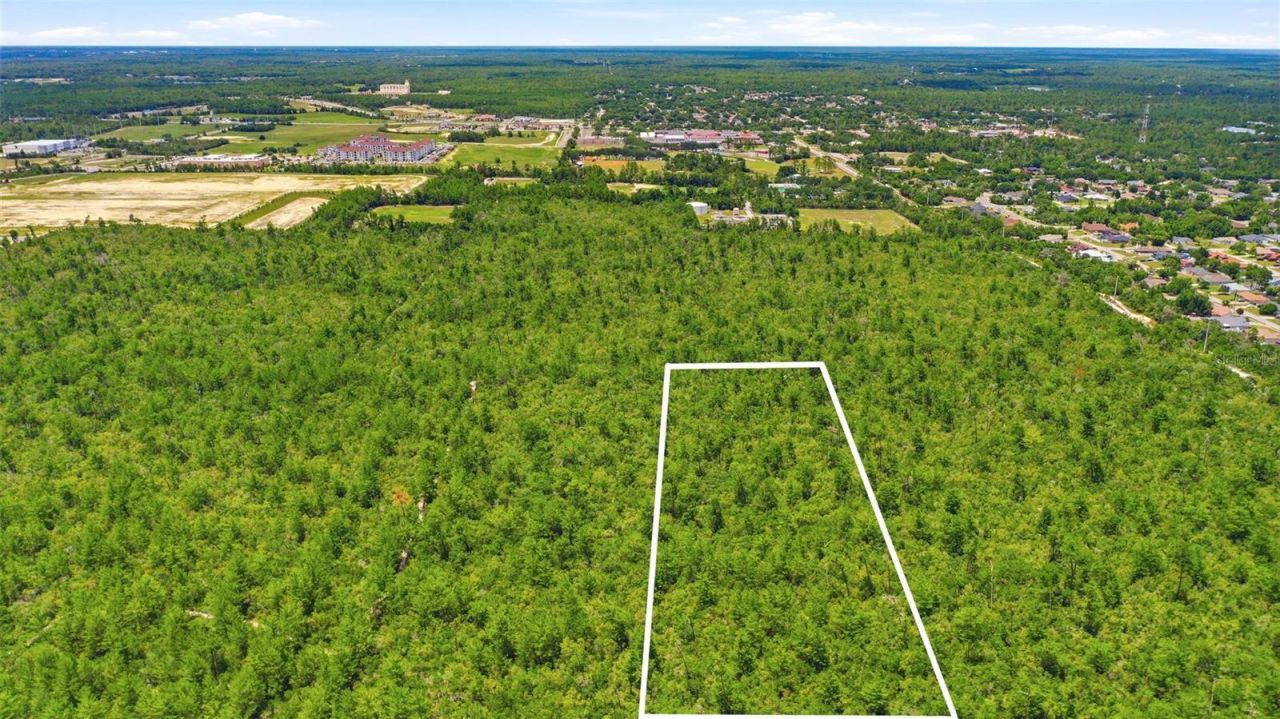 Amelia (paper) Avenue , Deltona, FL 32725 Photo