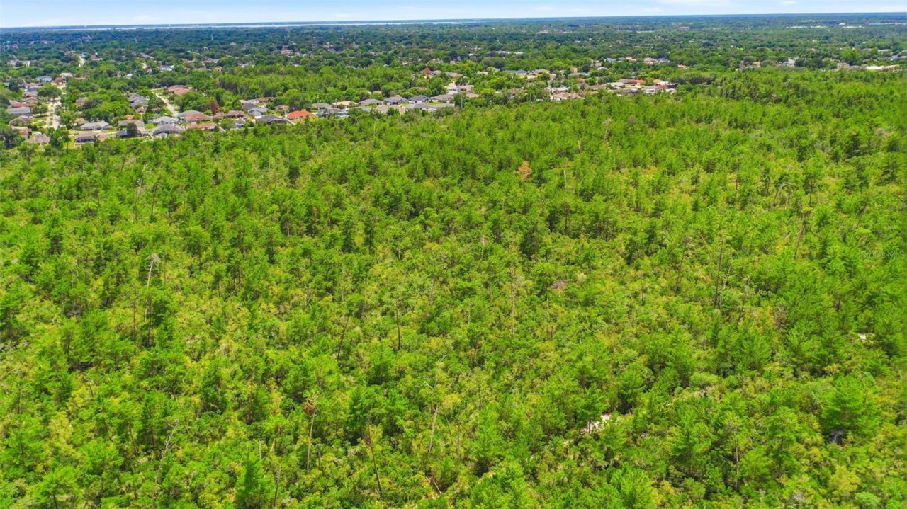 Amelia (paper) Avenue , Deltona, FL 32725 Photo