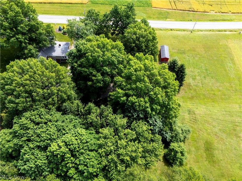 10998 N Mt Eaton Road, Marshallville, OH 44645 Photo 18