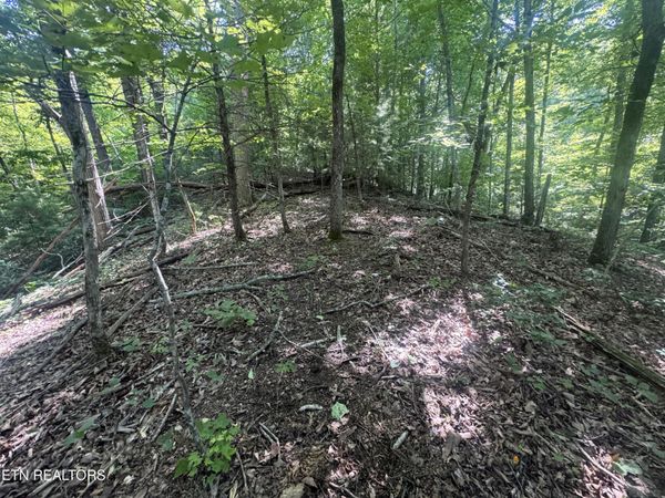 332 Padgett Mill Rd, Cosby, TN 37722