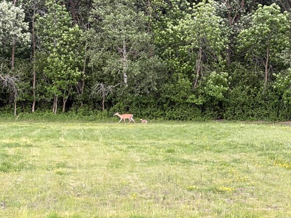 6860 2nd Street NW, Moorhead, MN 56560