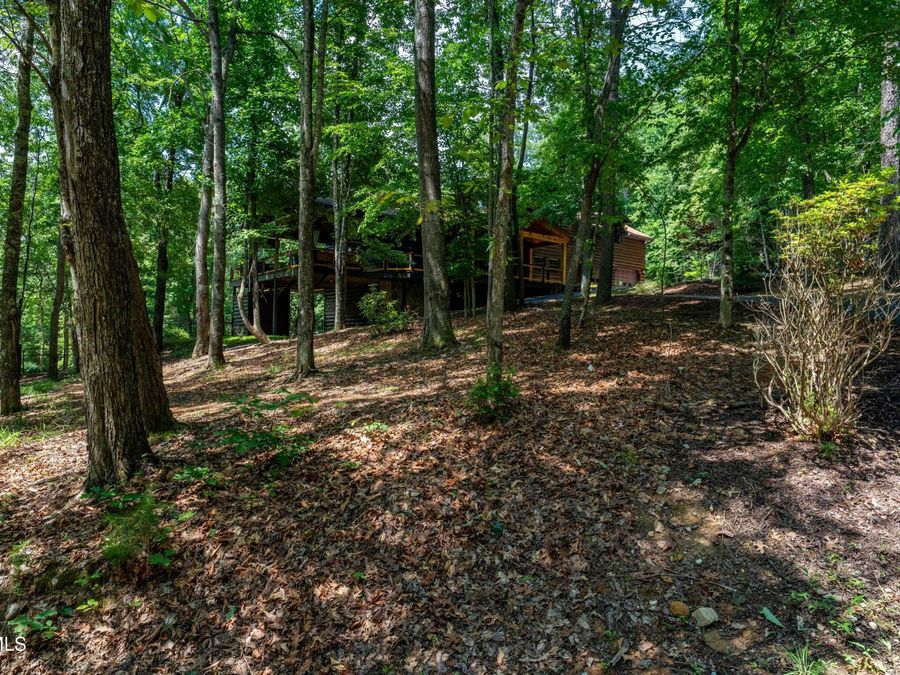 Property Image 42