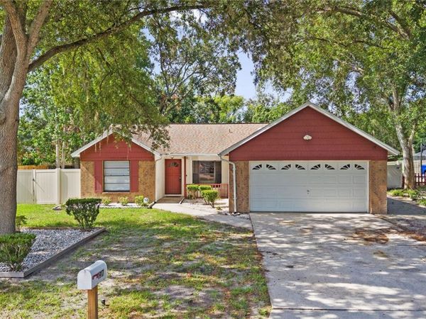 1917 DOVE FIELD PLACE , BRANDON, FL 33510